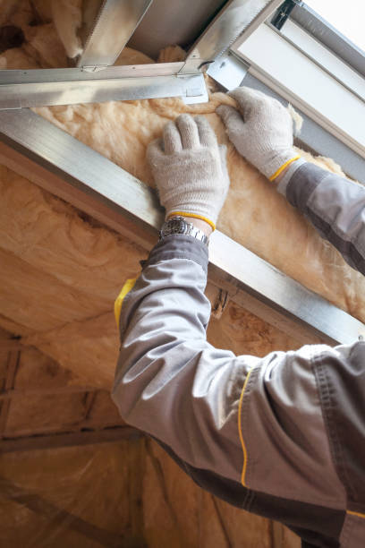 Best Blown-in Insulation  in Kenbridge, VA