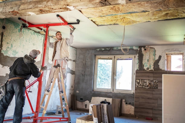 Best Cellulose Insulation  in Kenbridge, VA