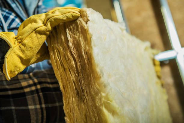 Attic Insulation Near Me in Kenbridge, VA