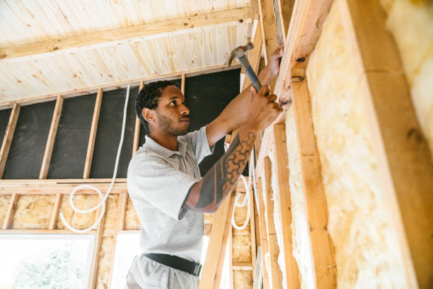Best Insulation Removal  in Kenbridge, VA