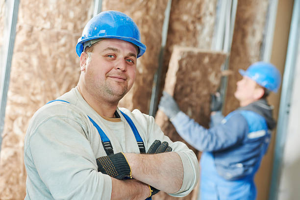 Best Insulation Replacement Services  in Kenbridge, VA